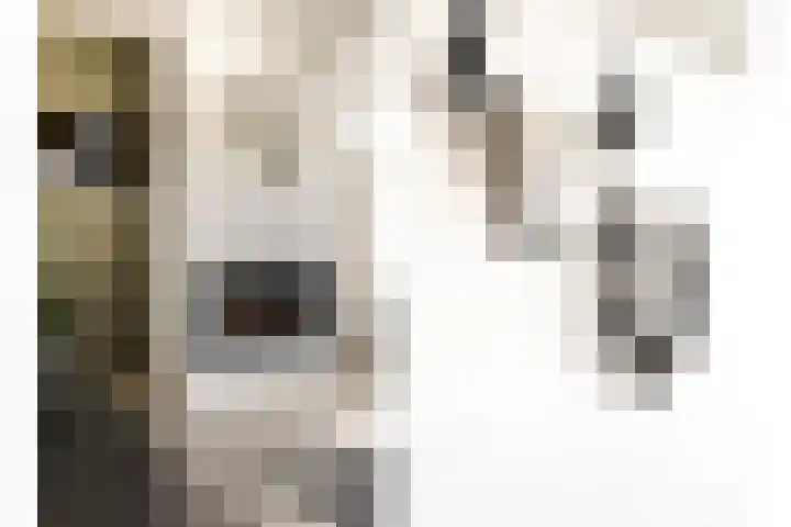 Keizerskroon 46 Losser thumbnail 16