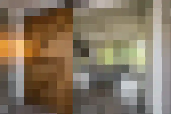 Keizerskroon 46 Losser thumbnail 17