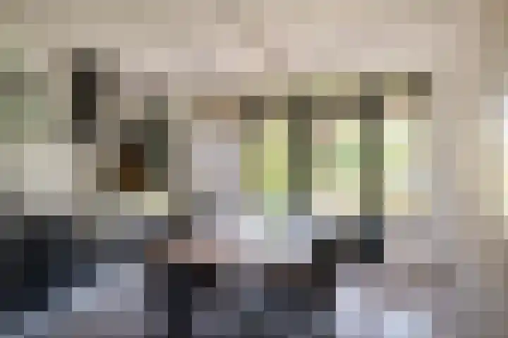 Keizerskroon 46 Losser thumbnail 19