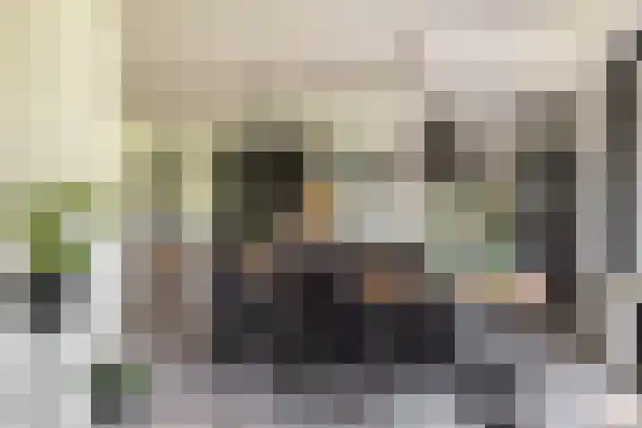 Keizerskroon 46 Losser thumbnail 22