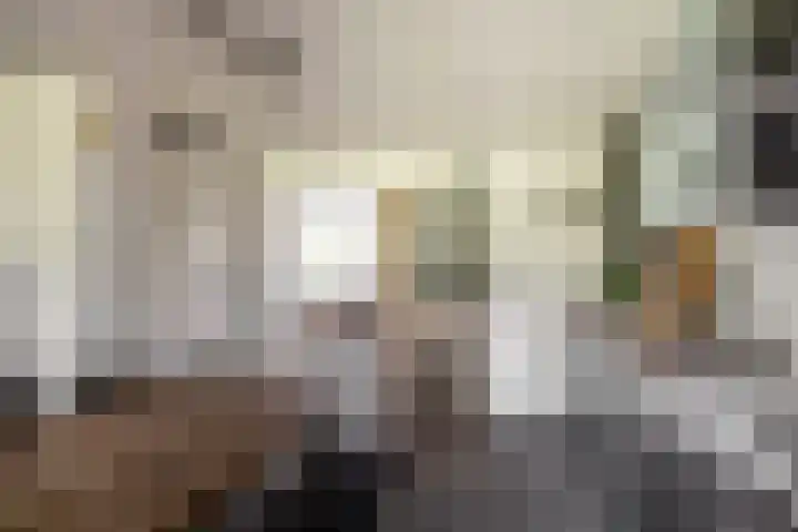 Keizerskroon 46 Losser thumbnail 23