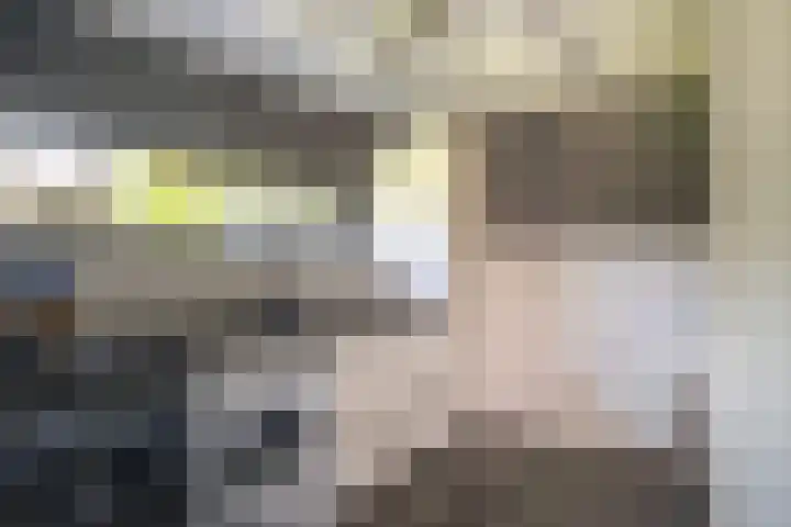 Keizerskroon 46 Losser thumbnail 24
