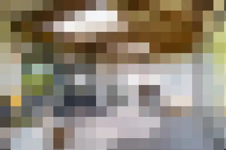 Keizerskroon 46 Losser thumbnail 26