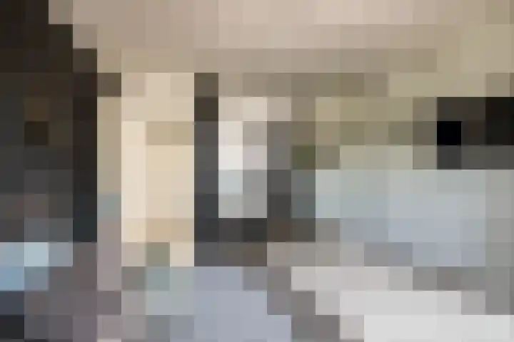 Keizerskroon 46 Losser thumbnail 36