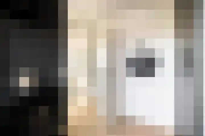 Keizerskroon 46 Losser thumbnail 40