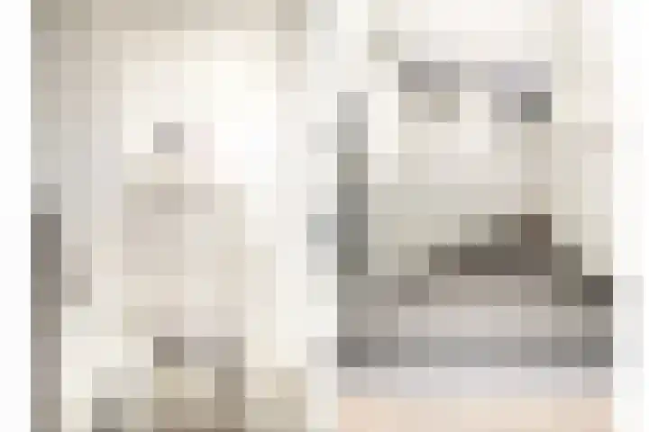 Keizerskroon 46 Losser thumbnail 41
