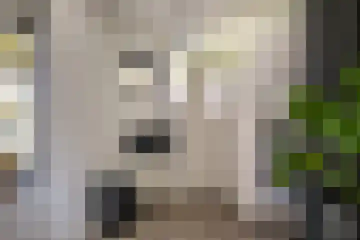 Keizerskroon 46 Losser thumbnail 42