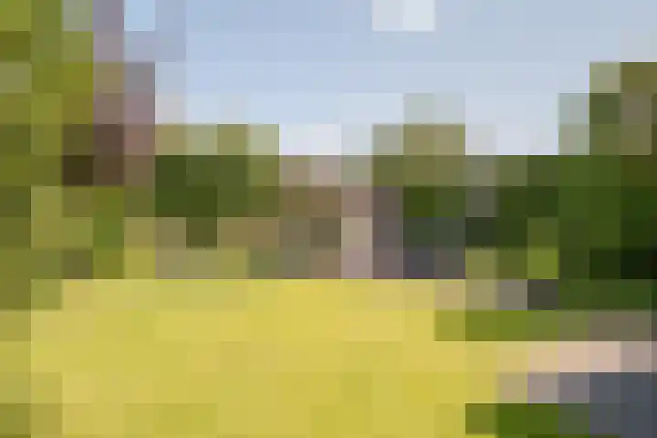 Keizerskroon 46 Losser thumbnail 43