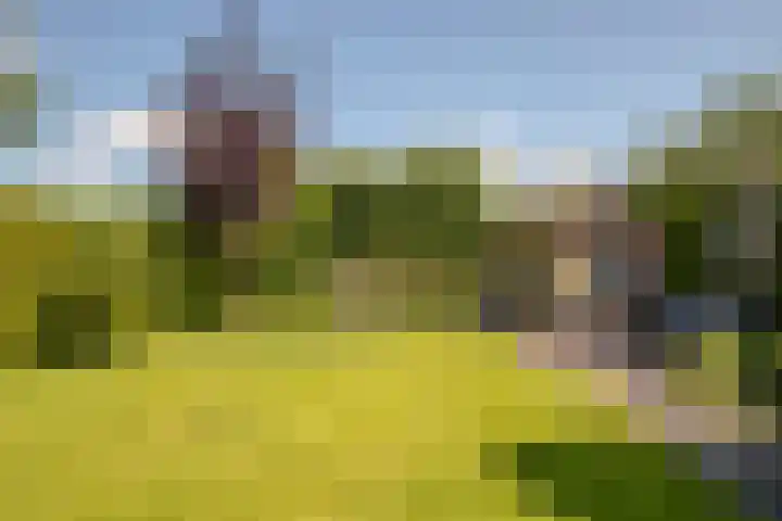 Keizerskroon 46 Losser thumbnail 44
