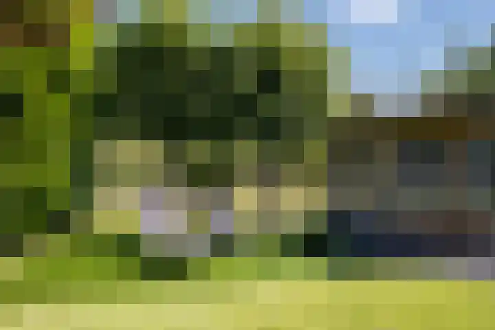 Keizerskroon 46 Losser thumbnail 46