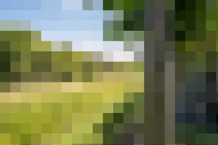 Keizerskroon 46 Losser thumbnail 47