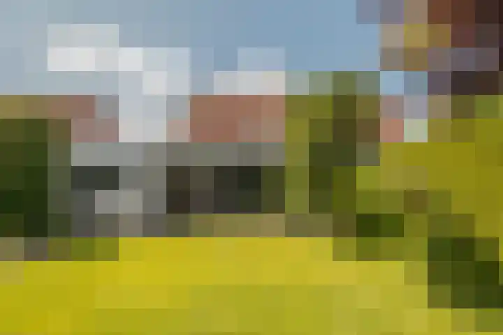 Keizerskroon 46 Losser thumbnail 49