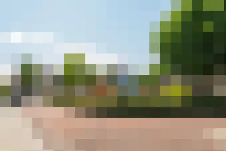 Keizerskroon 46 Losser thumbnail 53