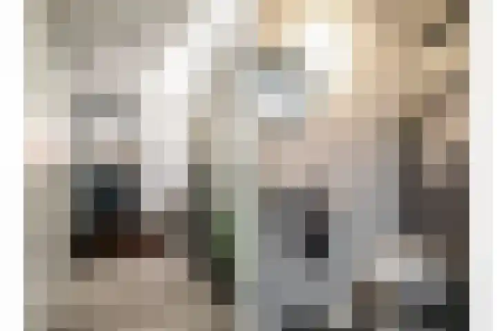 Keizerskroon 46 Losser thumbnail 6