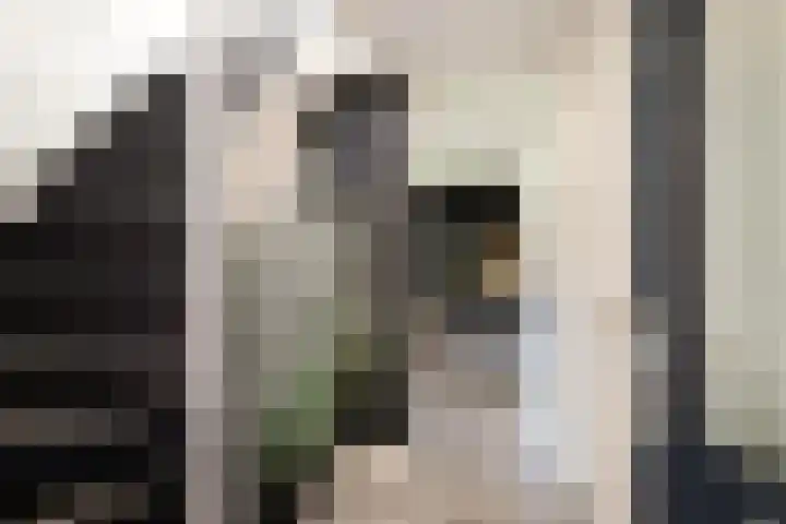 Keizerskroon 46 Losser thumbnail 7
