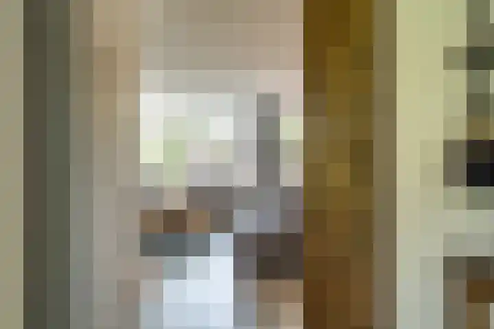 Keizerskroon 46 Losser thumbnail 8