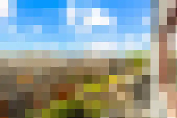 Keizerskroon 58 Papendrecht thumbnail 46