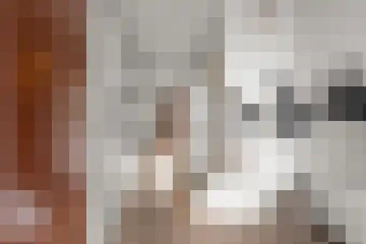 Keizerskroon 58 Papendrecht thumbnail 8