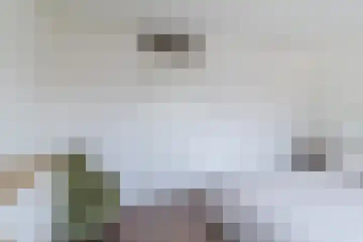 Keizerskroon 6 Papendrecht thumbnail 14