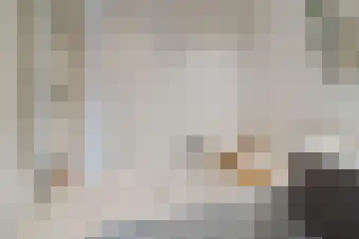 Keizerskroon 6 Papendrecht thumbnail 19