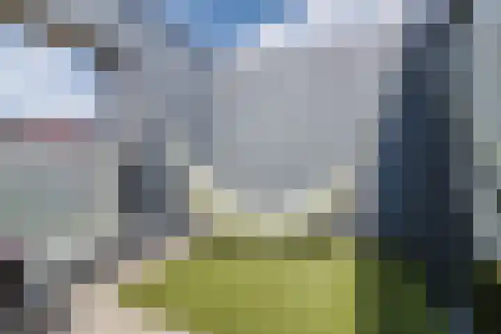 Keizerskroon 6 Papendrecht thumbnail 28