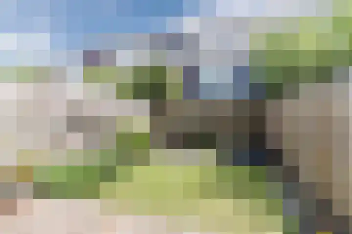 Keizerskroon 6 Papendrecht thumbnail 30