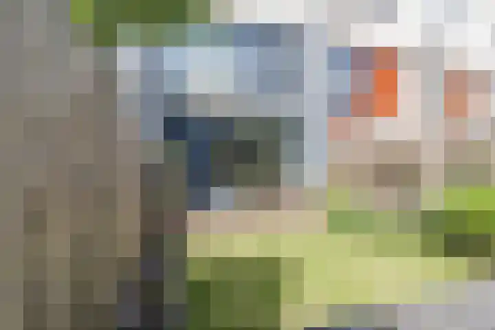 Keizerskroon 6 Papendrecht thumbnail 32