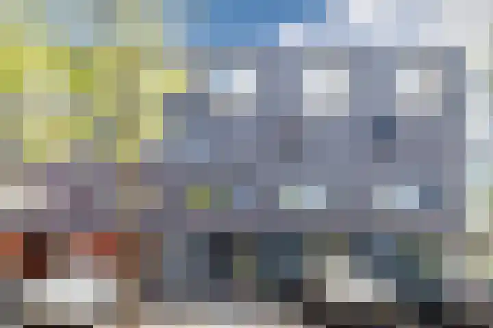 Keizerskroon 6 Papendrecht thumbnail 33