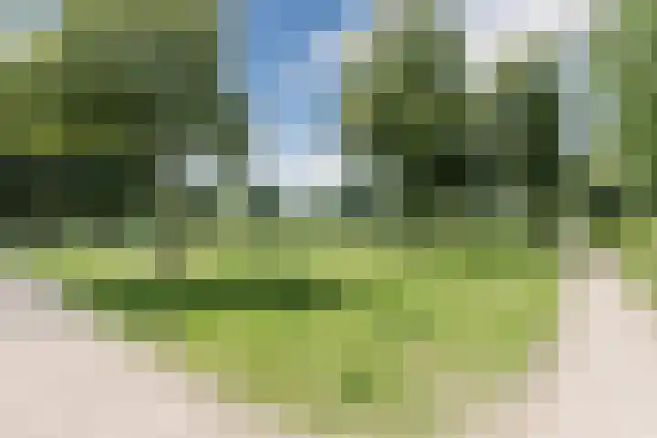 Keizerskroon 6 Papendrecht thumbnail 35