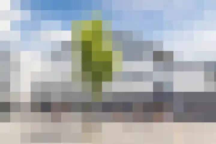 Keizerskroon 6 Papendrecht thumbnail 36