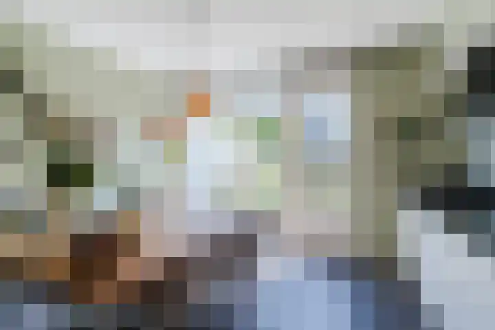 Keizerskroon 6 Papendrecht thumbnail 9
