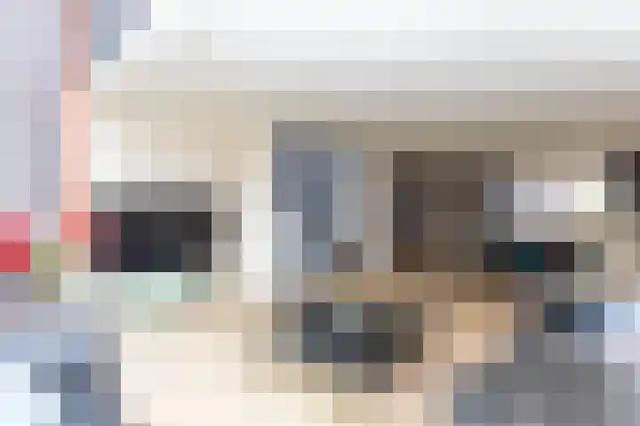 Keizerskroon 7 Papendrecht thumbnail 15