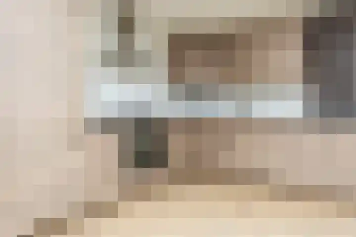 Keizerskroon 7 Papendrecht thumbnail 17