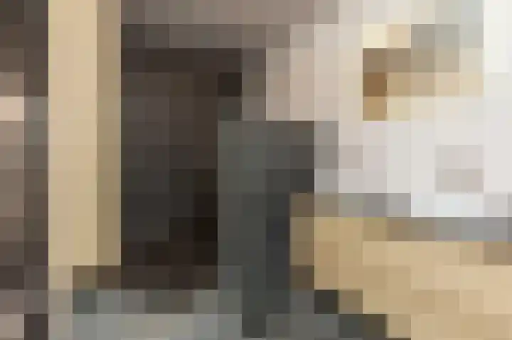 Keizerskroon 7 Papendrecht thumbnail 24
