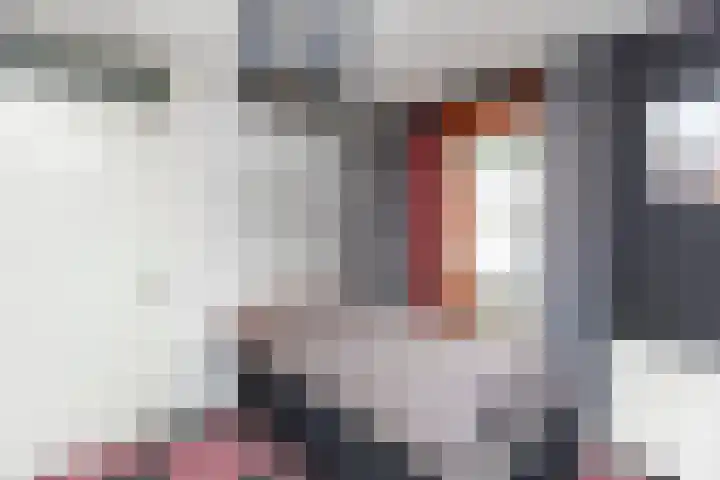 Keizerskroon 7 Papendrecht thumbnail 37