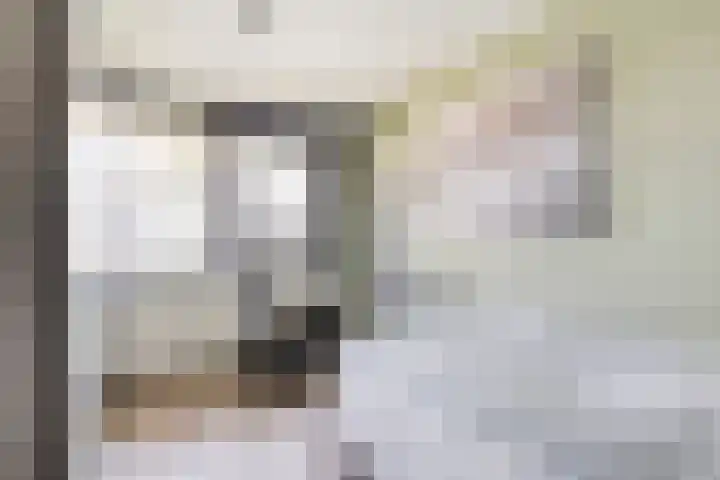 Keizerskroon 9 Nootdorp thumbnail 30