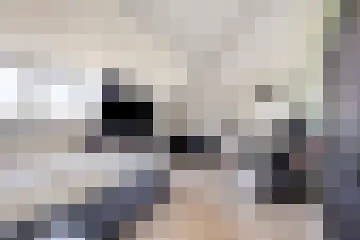 Keizerskroon 9 Nootdorp thumbnail 34