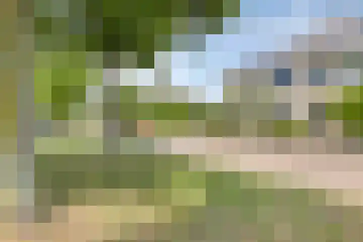 Keizerskroon 9 Nootdorp thumbnail 42