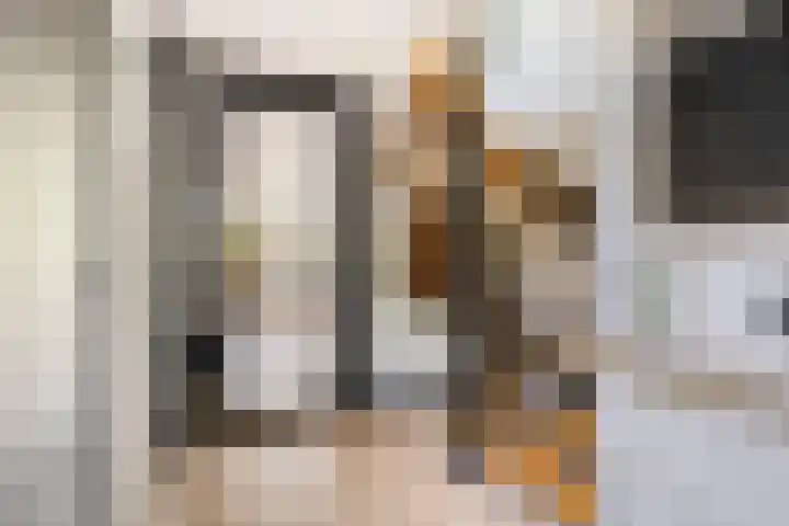 Keizerskroon 9 Nootdorp thumbnail 8