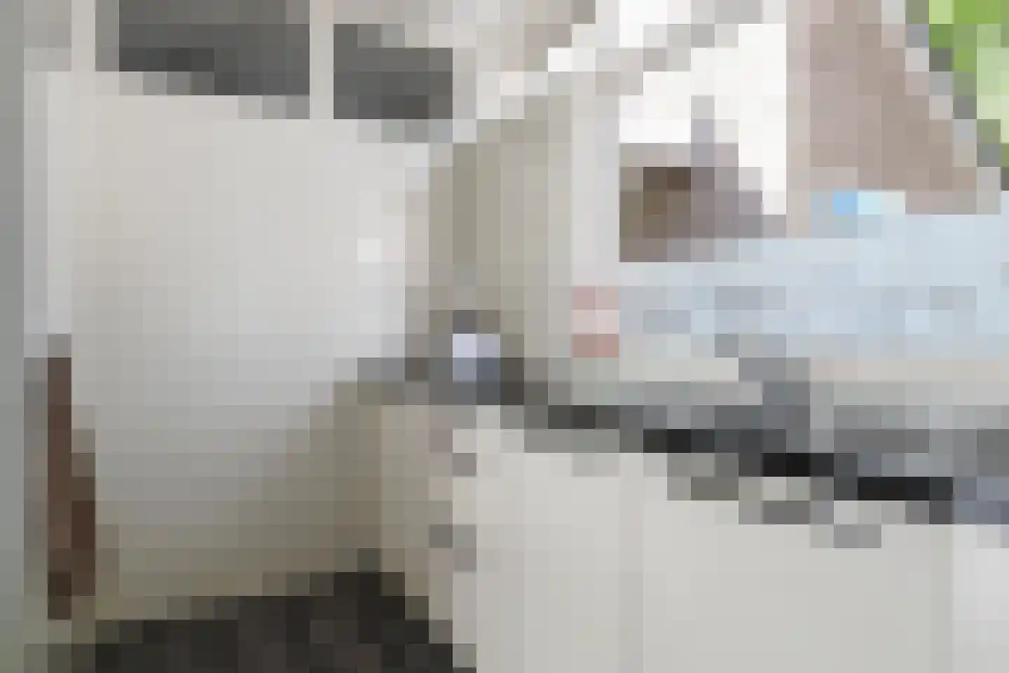 Keizerskroon 94 Leeuwarden thumbnail 18