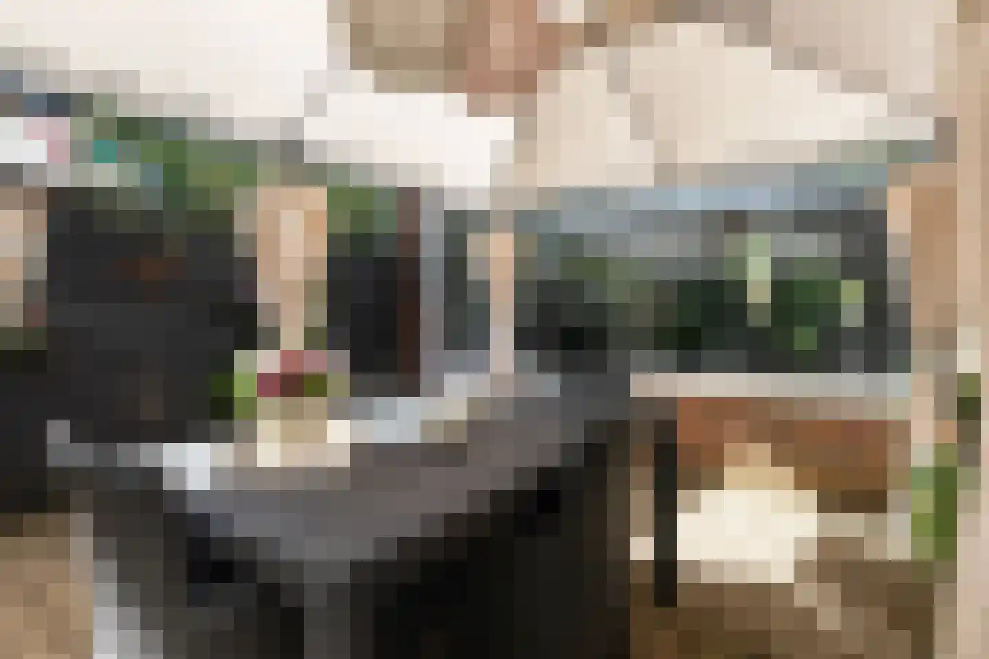 Keizerskroon 97 Leeuwarden thumbnail 25