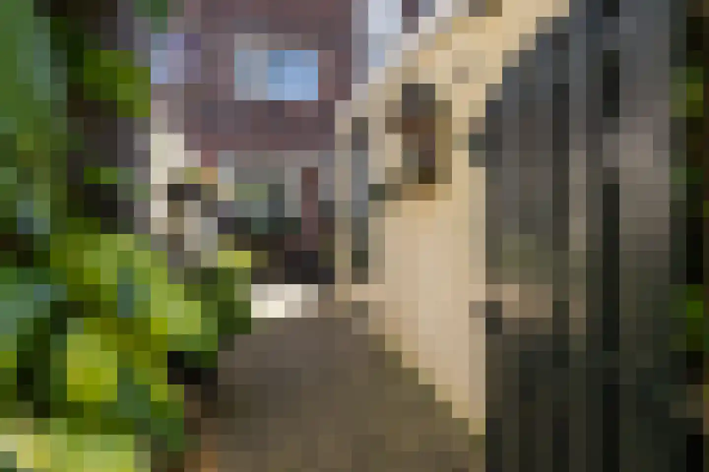 Keizerskroon 97 Leeuwarden thumbnail 5