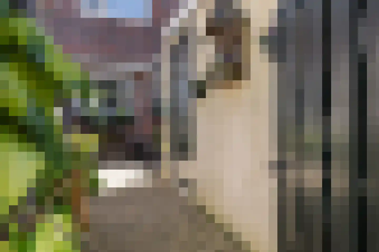 Keizerskroon 97 Leeuwarden thumbnail 6