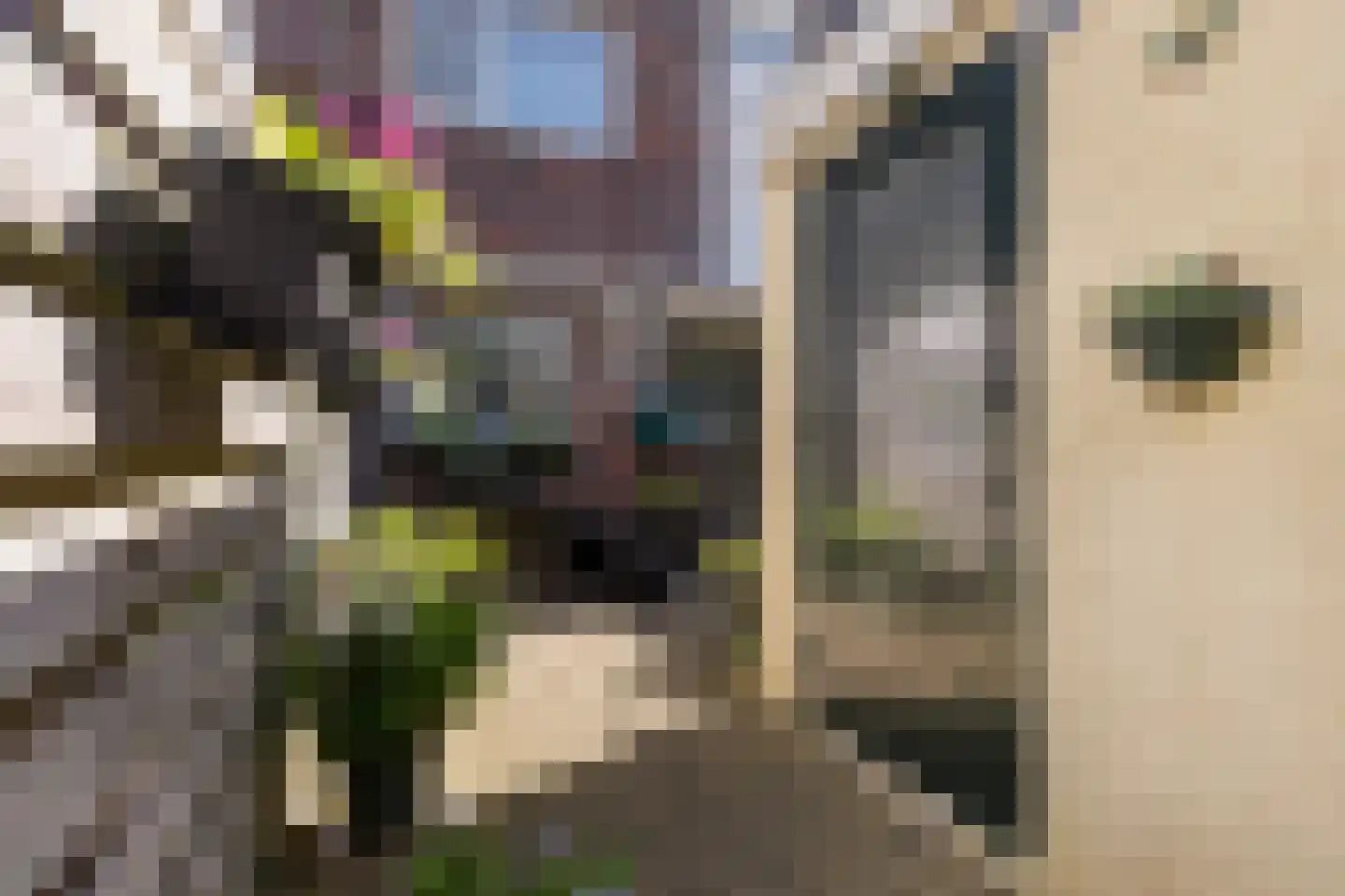 Keizerskroon 97 Leeuwarden thumbnail 7