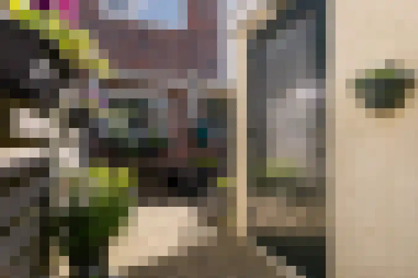 Keizerskroon 97 Leeuwarden thumbnail 8