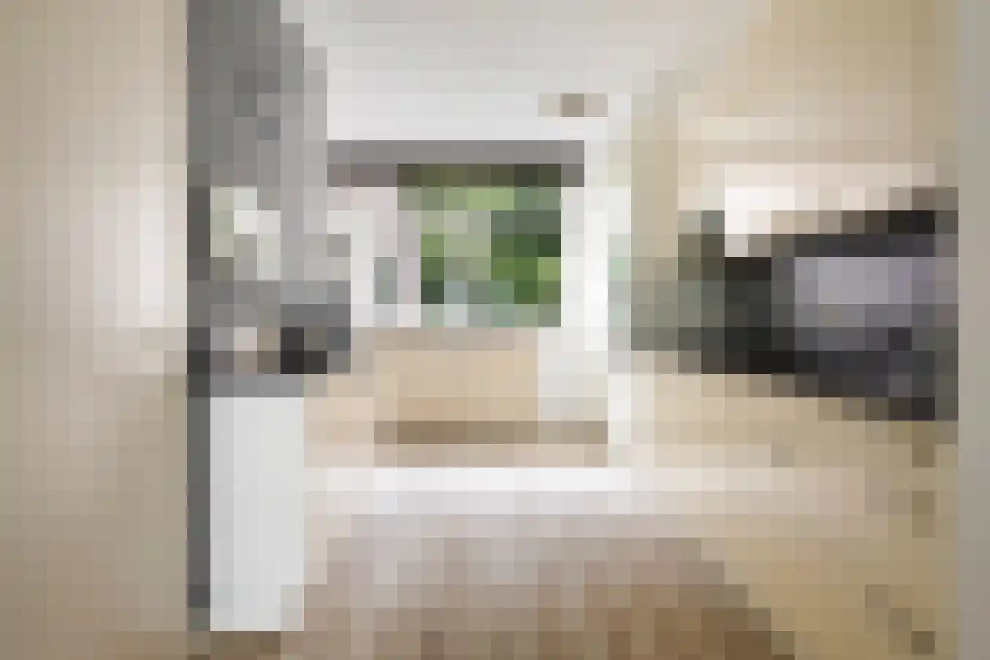 Keizerskroon 98 Leeuwarden thumbnail 17