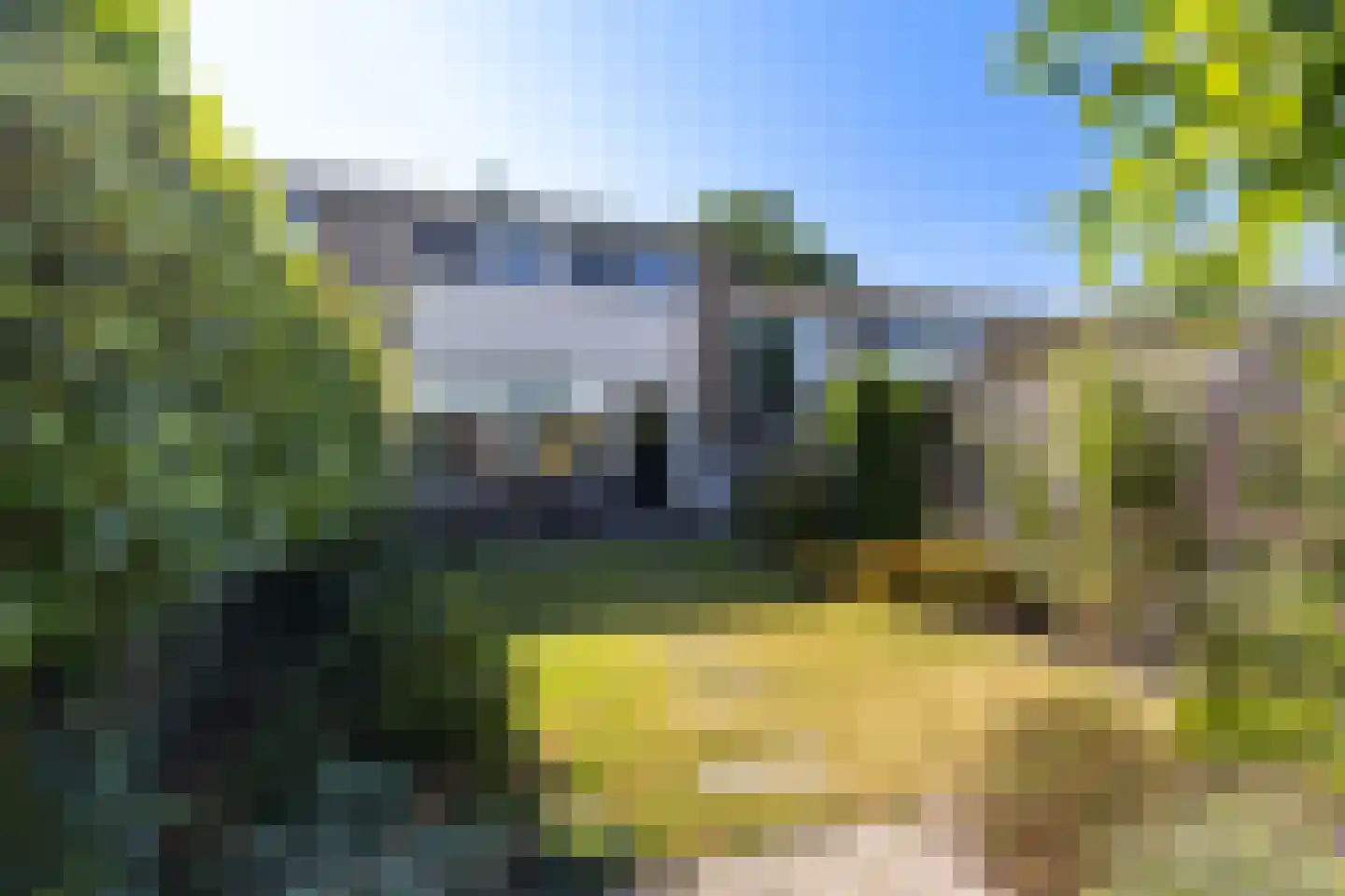 Keizerskroon 98 Leeuwarden thumbnail 31