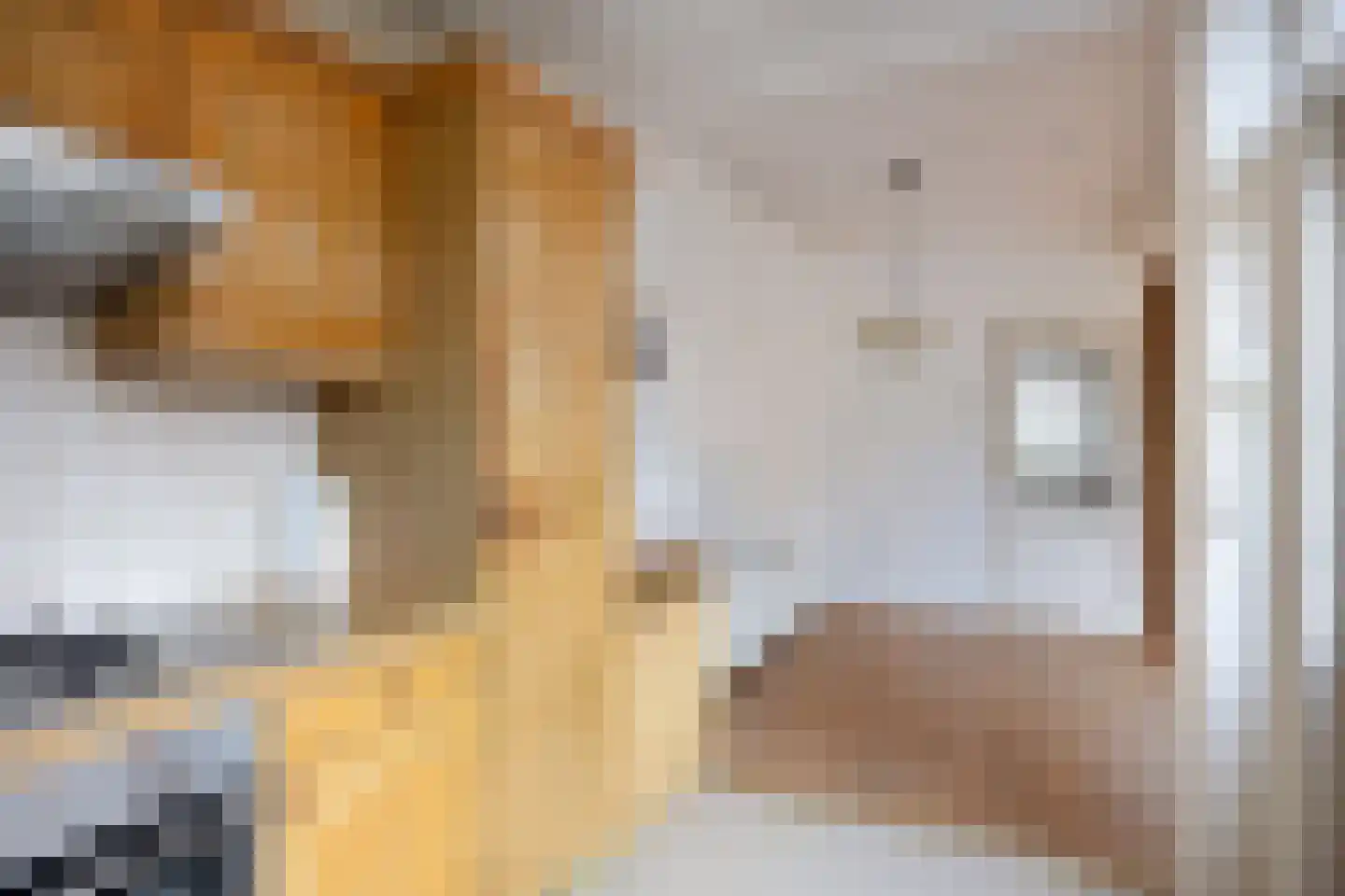 Keizerskroonweg 104 Bovenkarspel thumbnail 11