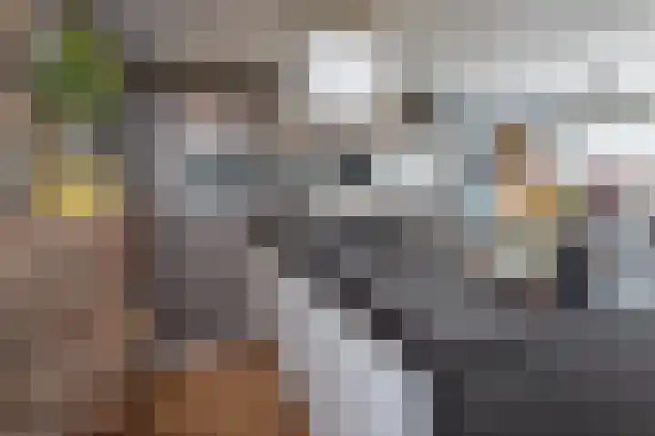 Keizerskroonweg 14 Bovenkarspel thumbnail 13
