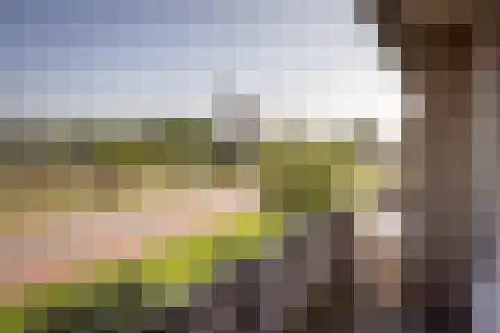 Keizerskroonweg 14 Bovenkarspel thumbnail 20